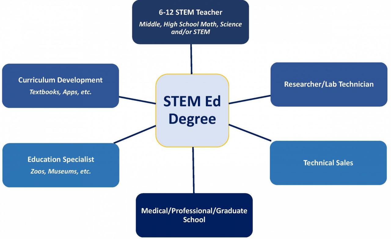 Master's degree in stem education
